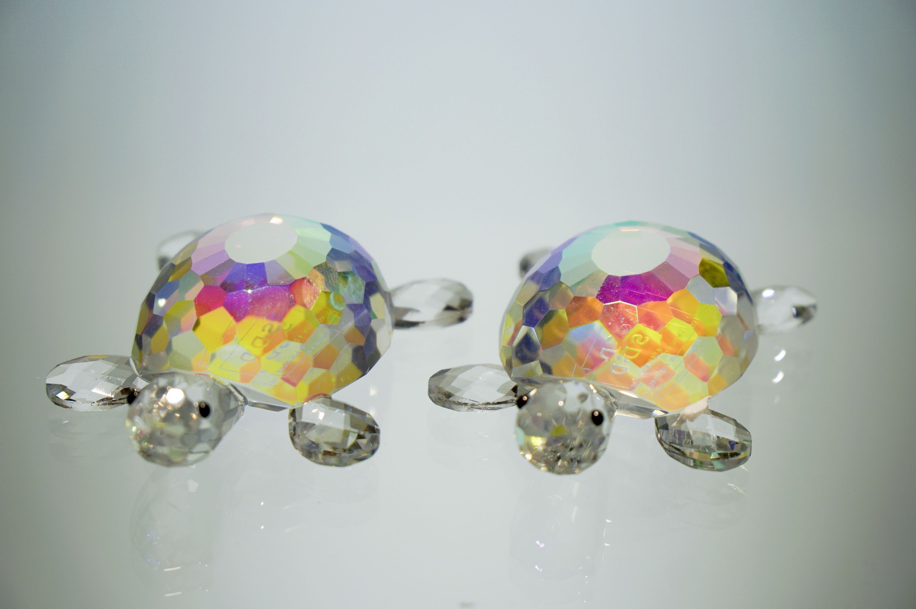 Schildkröte 2-er Set Mini